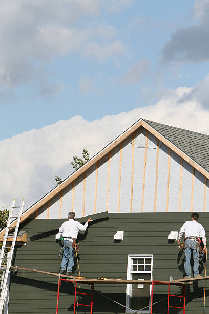 Best Insulated Siding Installation  in USA